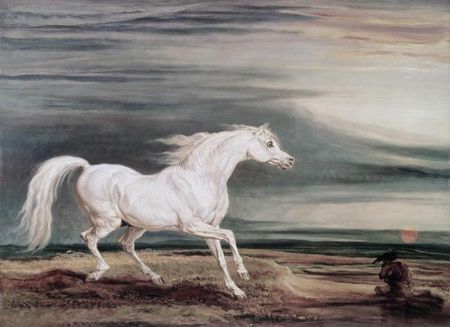 James Ward - Marengo Barb Charger - Horse Print
