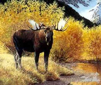 Jan Martin McGuire - Autumn Antlers - Signed and Numbered Moose Print