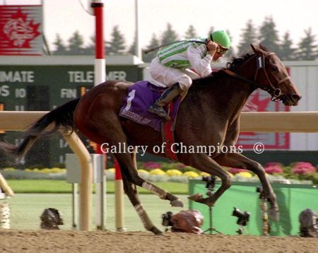 Jewel Princess Photo - 1996 Breeder's Cup Distaff Winner