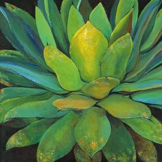 Jillian David - Agave - Canvas Print