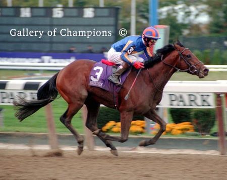 Johannesburg Photo - 2001 Breeder's Cup Juvenile Winner