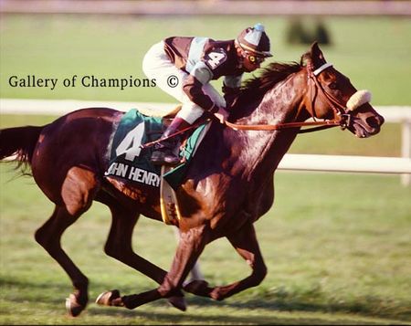 John Henry Winning The 1984 Turf Classic At Belmont Park