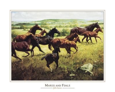 John Leone - Mares & Foals - Horse Print