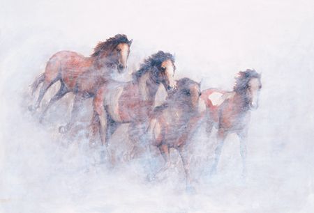 John Saunders - Stampede - Limited Edition
