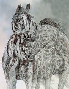 Judy Larson - A Time To Heal - Signed & Numbered Print