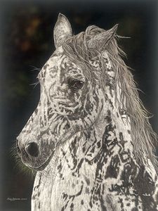 Judy Larson - American Horse - Horse Print