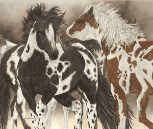 Judy Larson - Boys to Men - Horse Print