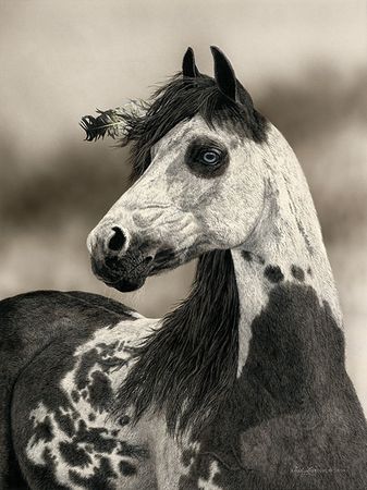 Judy Larson - Eagles Gift - Horse Giclee UNAVAILABLE