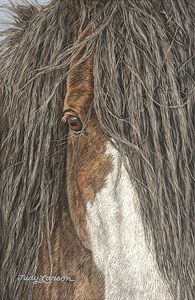 Judy Larson - Fearless - Horse Canvas Giclee UNAVAILABLE