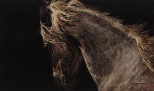 Judy Larson - Fire And Flight - Horse Print
