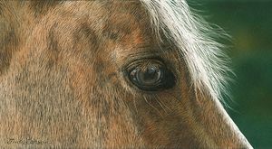 Judy Larson - Golden - Horse Canvas Giclee