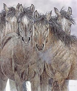 Judy Larson - Pryor Commitment - Horse Print