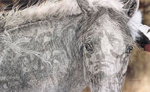 Judy Larson - Red Horse - Horse Print