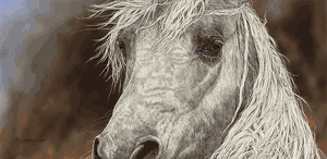 Judy Larson - The Gift - Horse Print