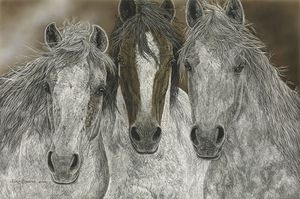 Judy Larson - The Misfits - Horse Print