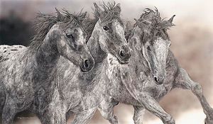 Judy Larson - The Protesters - Horse Print