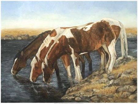 Kathy Winkler - Tres Caballos - Horse Print