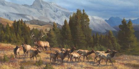 Kyle Sims - Northern Social - Elk Print