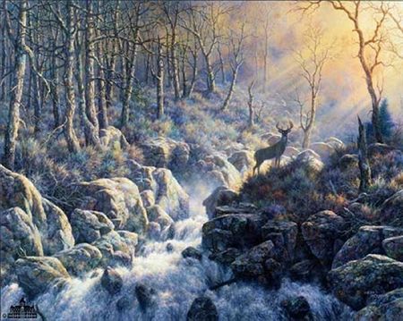 Larry Dyke - Revealing Light - Signed & Numbered Print