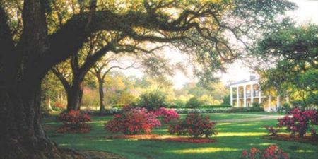 Larry Dyke - Southern Hospitality - Limited Edition