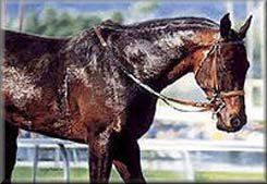 Lesley Harrison - After the Race is Over SOLD OUT