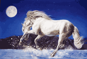Lesley Harrison - Dancing With the Moon UNAVAILABLE