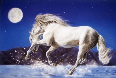 Lesley Harrison - Dancing With the Moon UNAVAILABLE