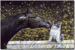Lesley Harrison - Dubious Friends UNAVAILABLE
