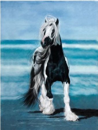 Lesley Harrison - Sea Gypsy - Gypsy Vanner on a Beach UNAVAILABLE