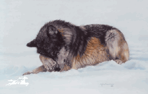 Lesley Harrison - Snow Flurries UNAVAILABLE