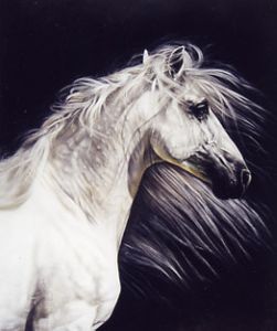 Lesley Harrison - The Aristocrat SOLD OUT