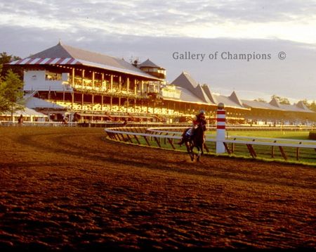Lonely Gallop 2 - Saratoga Race Course