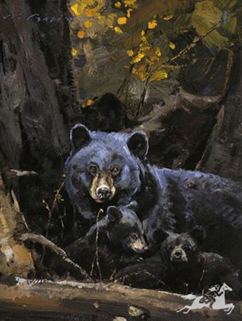 Luke Frazier - Mother’s Care - Bear Print