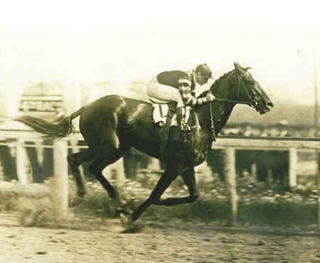 Man 'O War Horse Racing Photo UNAVAILABLE