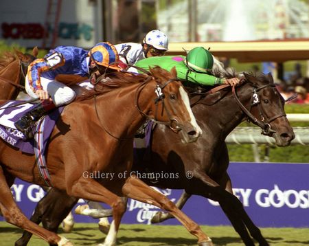 Maram Art Print - Breeder's Cup Winning Horse