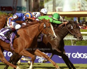 Maram Art Print - Breeder's Cup Winning Horse