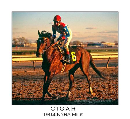 Mark Wyville - Cigar, After Winning the 1994 NYRA Mile