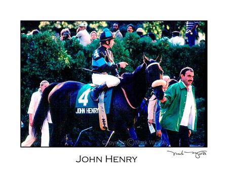 Mark Wyville - John Henry in the Paddock #2