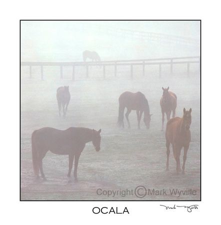 Mark Wyville - Ocala in the Mist Art Print