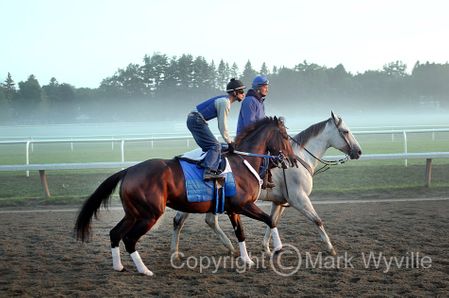 Mark Wyville - Rachel Alexandra Morning Workout I