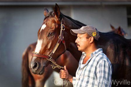 Mark Wyville - Rachel Alexandra With Groom