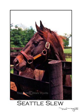 Mark Wyville - Seattle Slew, Fence #1