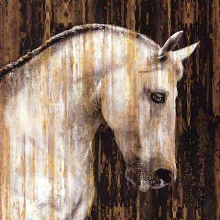 Martin Rose - Horse II - Horse Print UNAVAILABLE