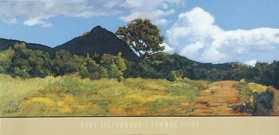 Mary Silverwood - Summer Vista - Southwestern Landscape Print