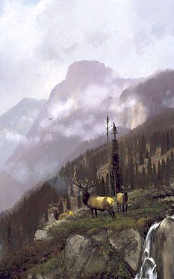 Michael Coleman - After The Storm - Limited Edition Giclee