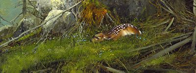 Michael Coleman - Afternoon Nap - Limited Edition Giclee