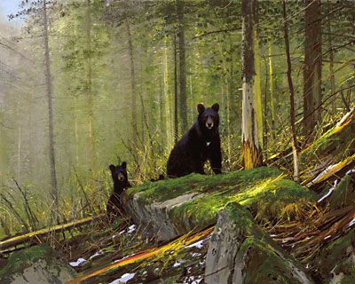 Michael Coleman - Black Bears On The Sun River - Limited Edition