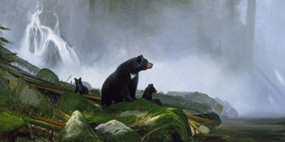 Michael Coleman - In the Mist - Limited Edition Giclee