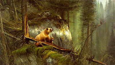 Michael Coleman - In the North Woods, Grizzly - Limited Edition Giclee