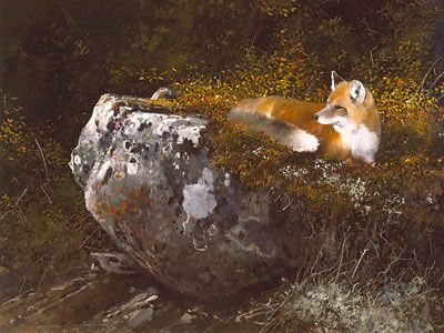 Michael Coleman - Morning Sun, Red Fox - Limited Edition Giclee